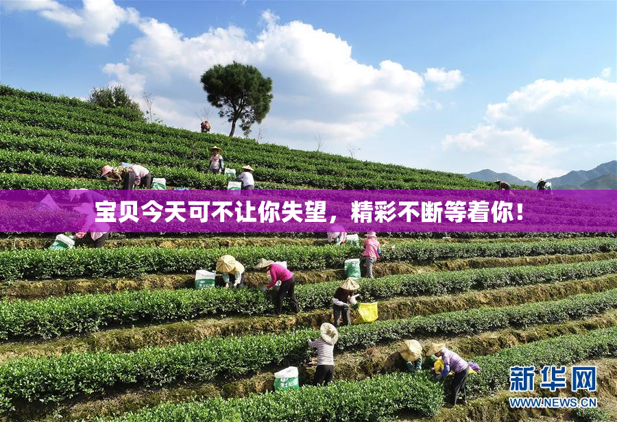 宝贝今天可不让你失望，精彩不断等着你！