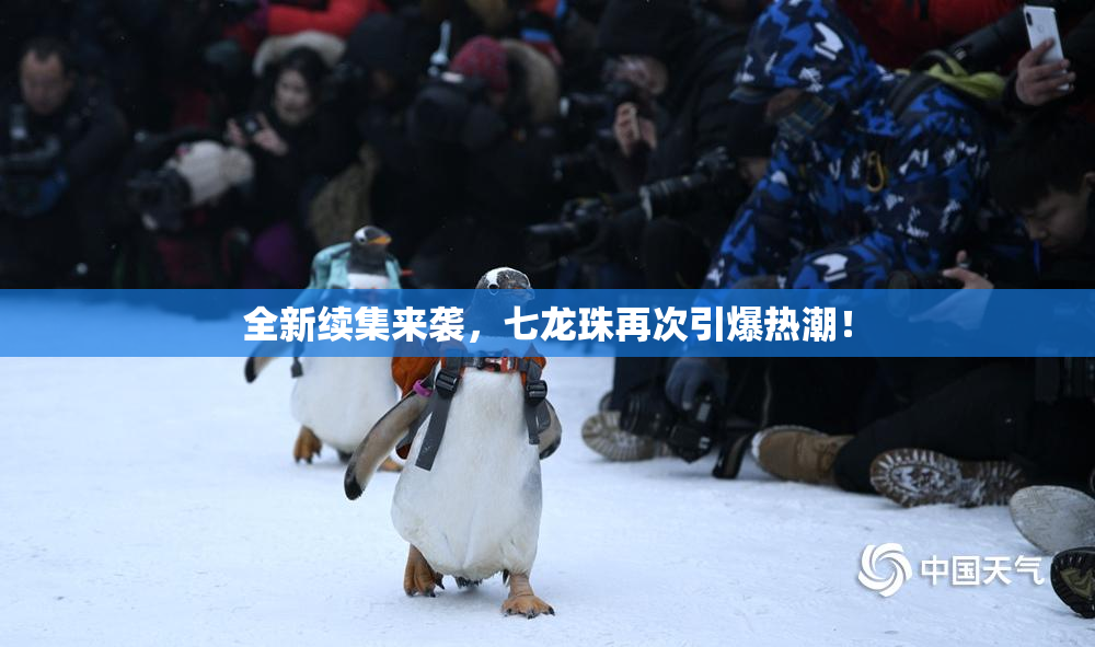 全新续集来袭，七龙珠再次引爆热潮！