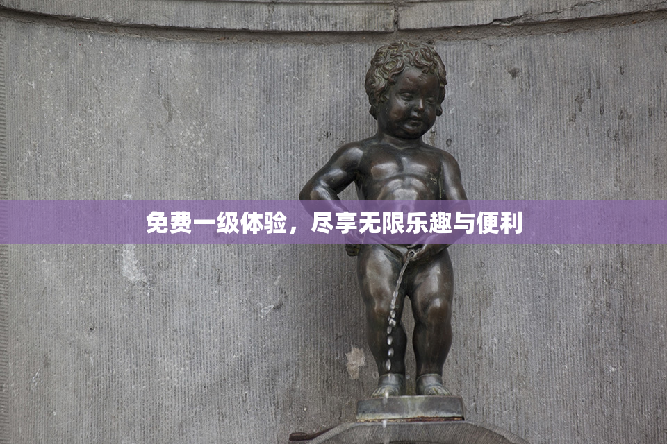 免费一级体验，尽享无限乐趣与便利