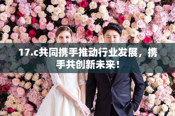 17.c共同携手推动行业发展，携手共创新未来！