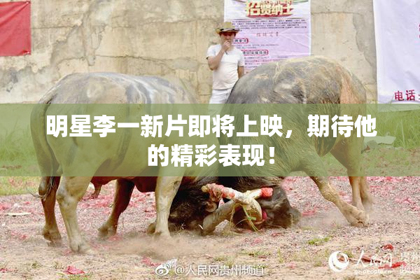 明星李一新片即将上映，期待他的精彩表现！