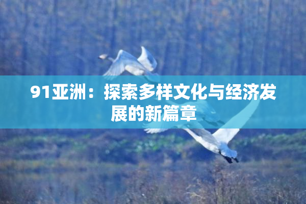 91亚洲：探索多样文化与经济发展的新篇章