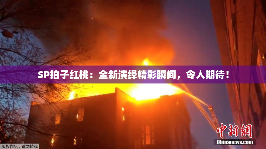 SP拍子红桃：全新演绎精彩瞬间，令人期待！