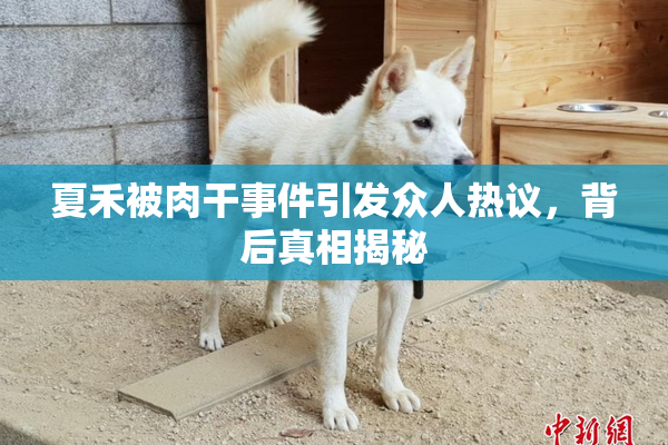 夏禾被肉干事件引发众人热议，背后真相揭秘