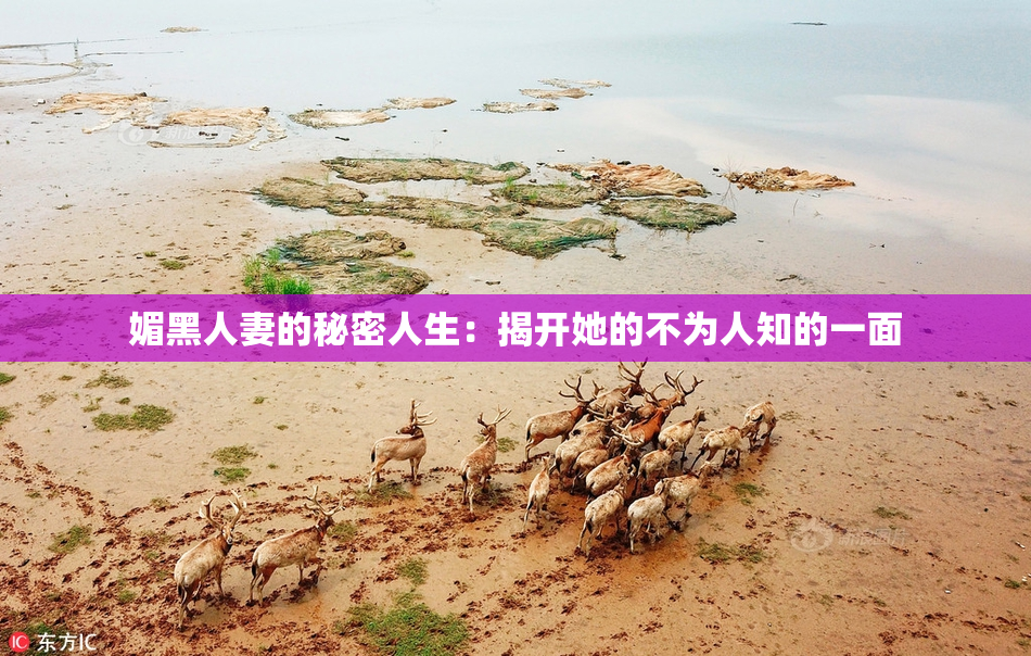 媚黑人妻的秘密人生：揭开她的不为人知的一面
