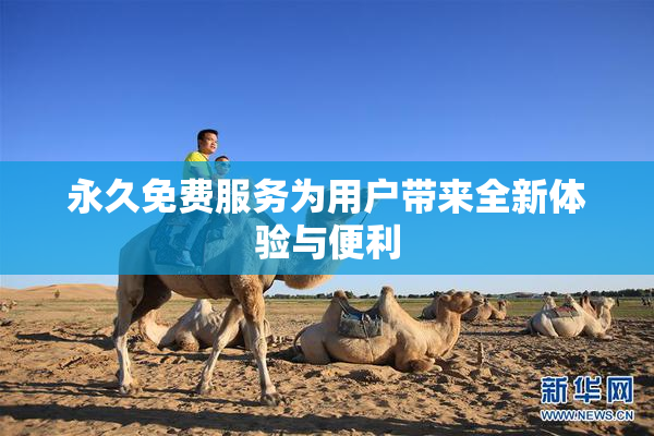永久免费服务为用户带来全新体验与便利