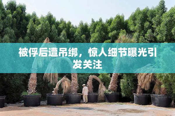 被俘后遭吊绑，惊人细节曝光引发关注