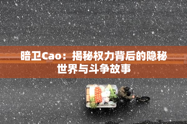 暗卫Cao：揭秘权力背后的隐秘世界与斗争故事