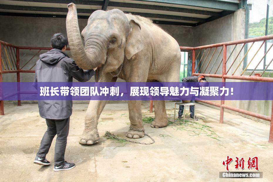 班长带领团队冲刺，展现领导魅力与凝聚力！