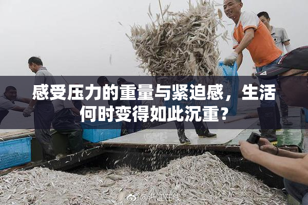 感受压力的重量与紧迫感，生活何时变得如此沉重？