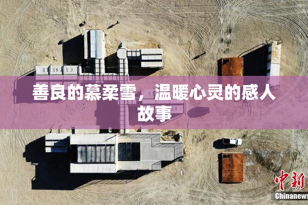 善良的慕柔雪，温暖心灵的感人故事