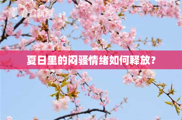 夏日里的闷骚情绪如何释放？
