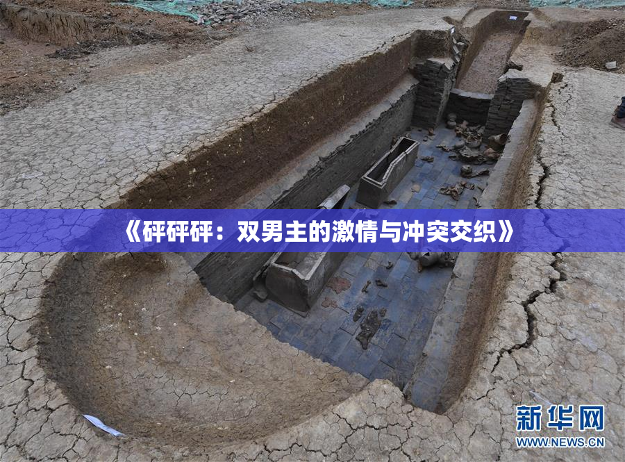 《砰砰砰：双男主的激情与冲突交织》