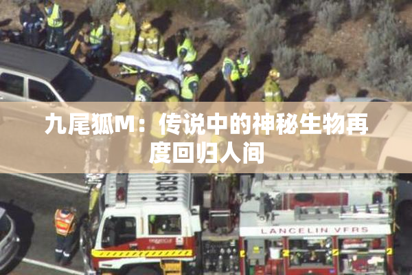 九尾狐M：传说中的神秘生物再度回归人间