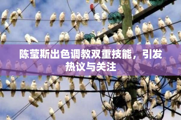 陈莹斯出色调教双重技能，引发热议与关注