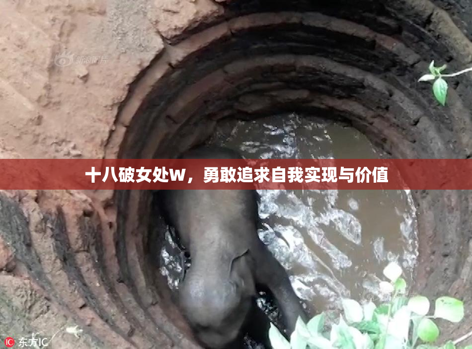 十八破女处W，勇敢追求自我实现与价值