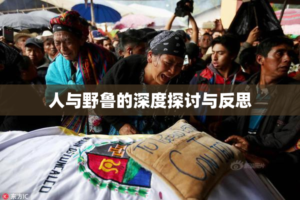 人与野鲁的深度探讨与反思