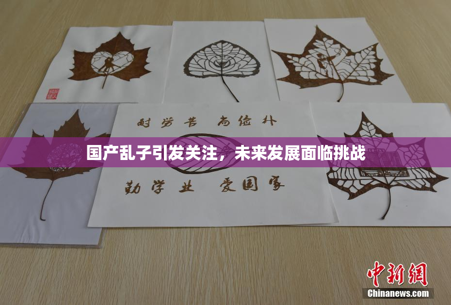 国产乱子引发关注，未来发展面临挑战