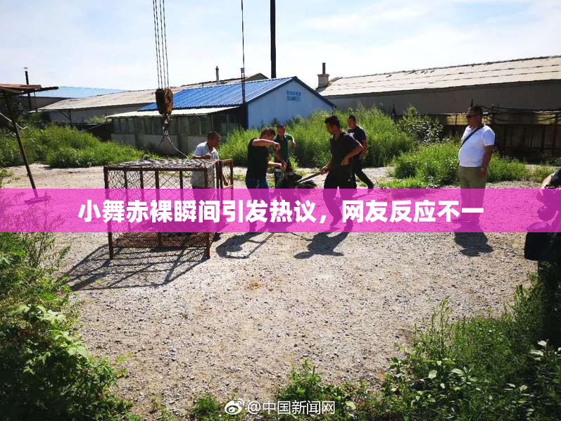 小舞赤裸瞬间引发热议，网友反应不一
