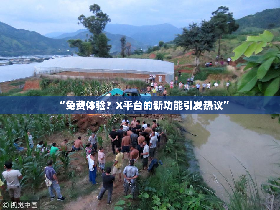 “免费体验？X平台的新功能引发热议”