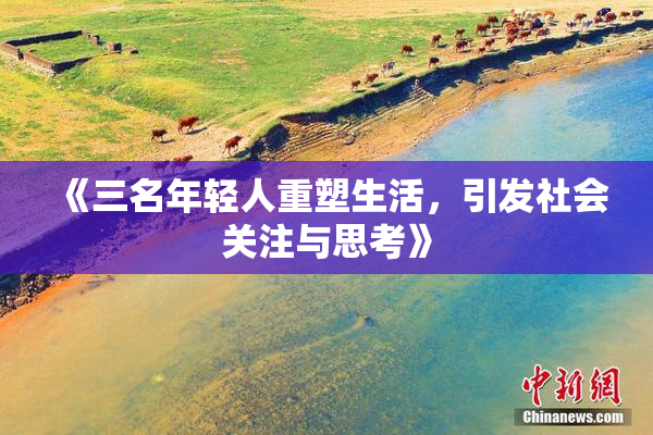 《三名年轻人重塑生活，引发社会关注与思考》