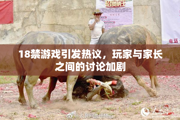 18禁游戏引发热议，玩家与家长之间的讨论加剧