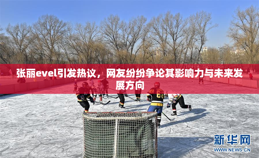 张丽evel引发热议，网友纷纷争论其影响力与未来发展方向