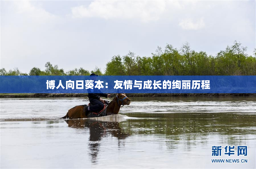 博人向日葵本：友情与成长的绚丽历程