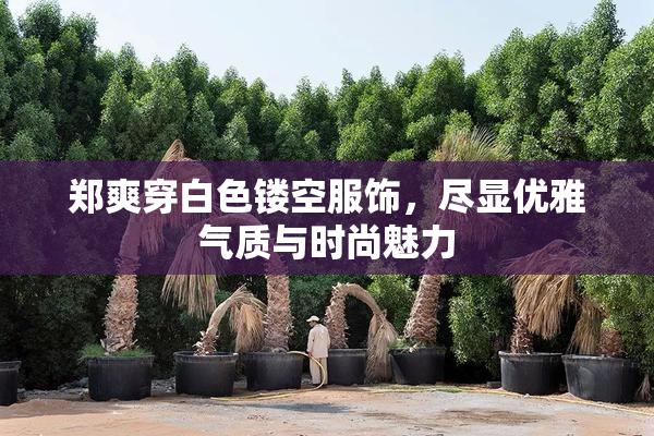 郑爽穿白色镂空服饰，尽显优雅气质与时尚魅力