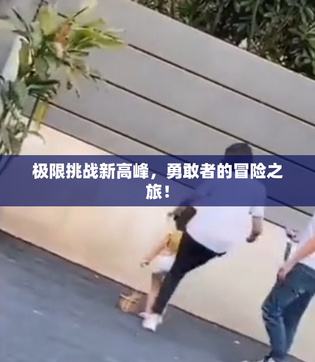 极限挑战新高峰，勇敢者的冒险之旅！