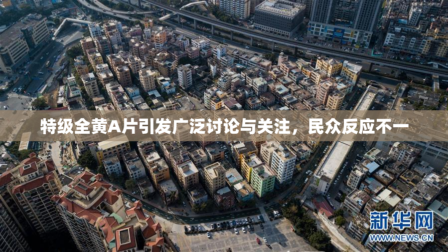 特级全黄A片引发广泛讨论与关注，民众反应不一