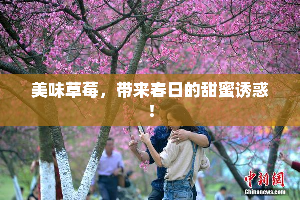 美味草莓，带来春日的甜蜜诱惑！