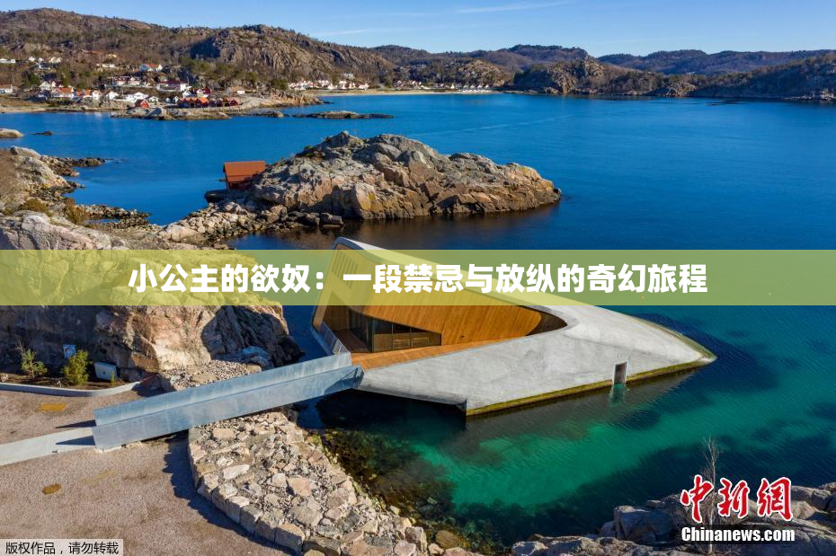 小公主的欲奴：一段禁忌与放纵的奇幻旅程