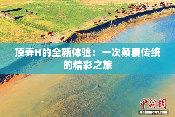 顶弄H的全新体验：一次颠覆传统的精彩之旅