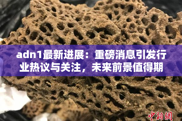 adn1最新进展：重磅消息引发行业热议与关注，未来前景值得期待！