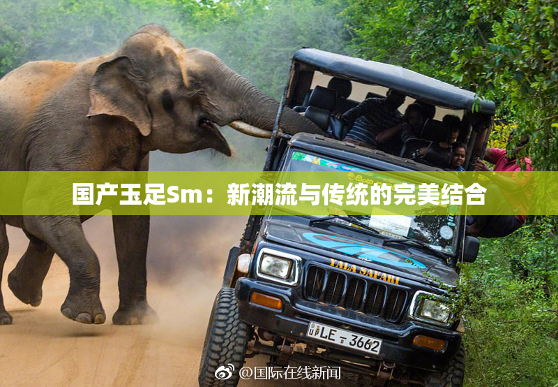 国产玉足Sm：新潮流与传统的完美结合