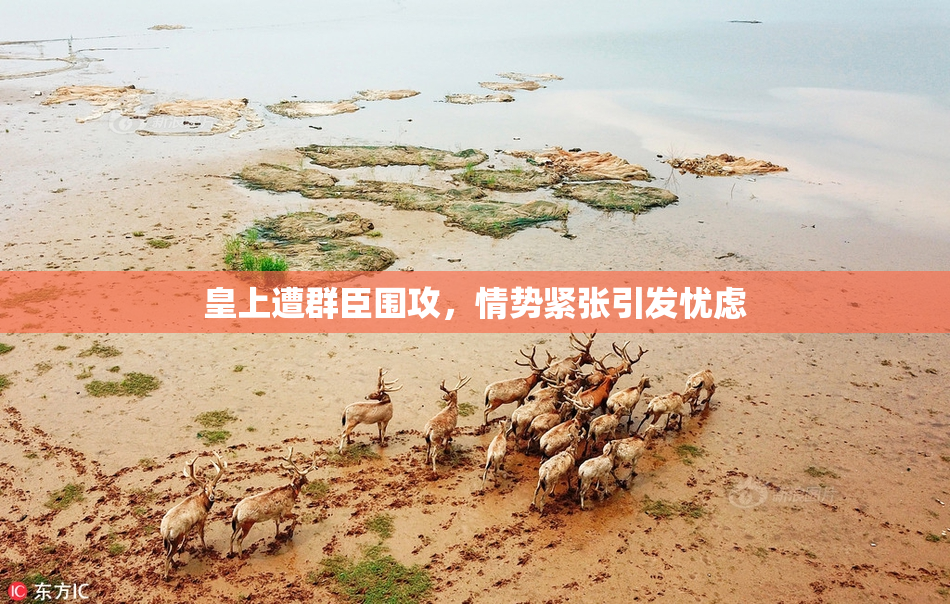 皇上遭群臣围攻，情势紧张引发忧虑