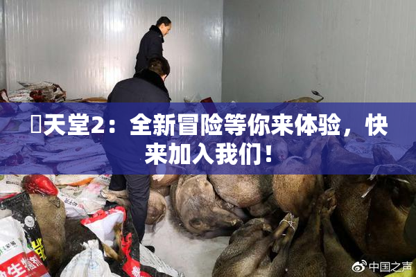妺天堂2：全新冒险等你来体验，快来加入我们！