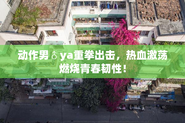 动作男♂ya重拳出击，热血激荡燃烧青春韧性！