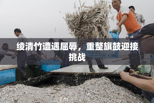 绫清竹遭遇屈辱，重整旗鼓迎接挑战