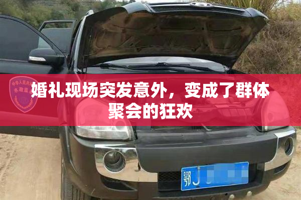 婚礼现场突发意外，变成了群体聚会的狂欢