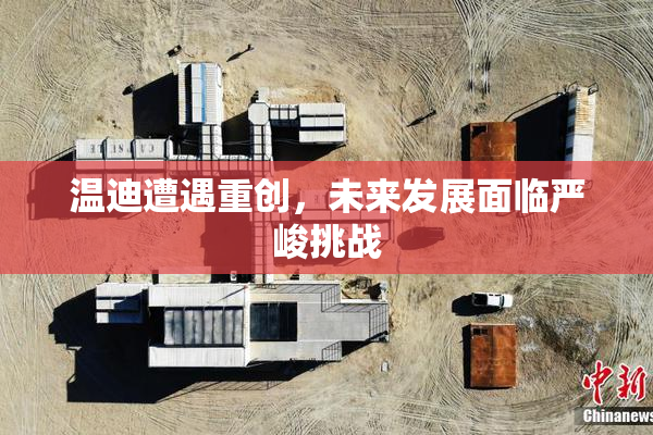 温迪遭遇重创，未来发展面临严峻挑战