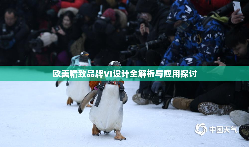 欧美精致品牌VI设计全解析与应用探讨