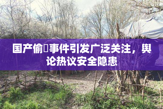 国产偷抇事件引发广泛关注，舆论热议安全隐患