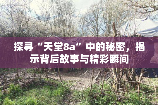 探寻“天堂8a”中的秘密，揭示背后故事与精彩瞬间