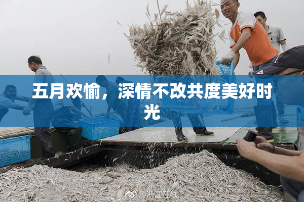 五月欢愉，深情不改共度美好时光