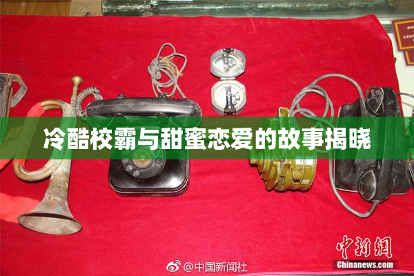 冷酷校霸与甜蜜恋爱的故事揭晓