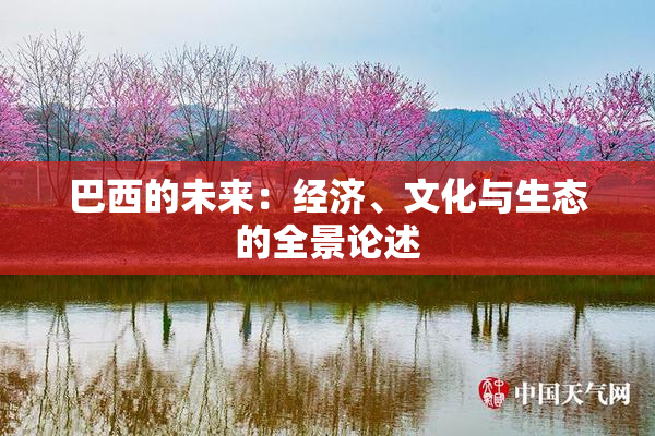 巴西的未来：经济、文化与生态的全景论述