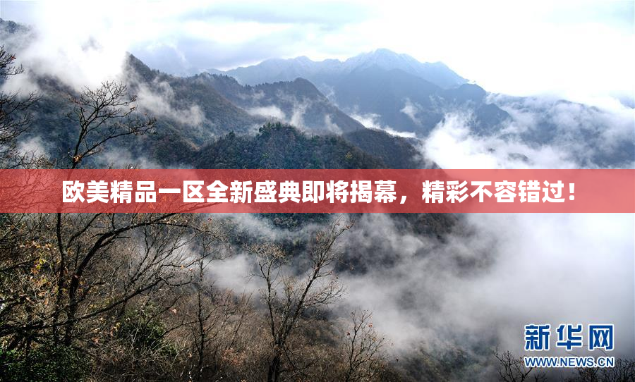 欧美精品一区全新盛典即将揭幕，精彩不容错过！