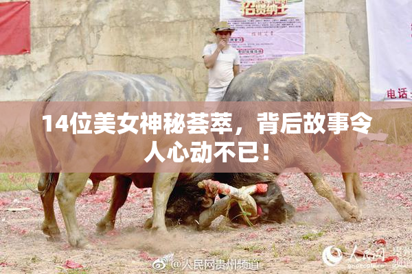 14位美女神秘荟萃，背后故事令人心动不已！